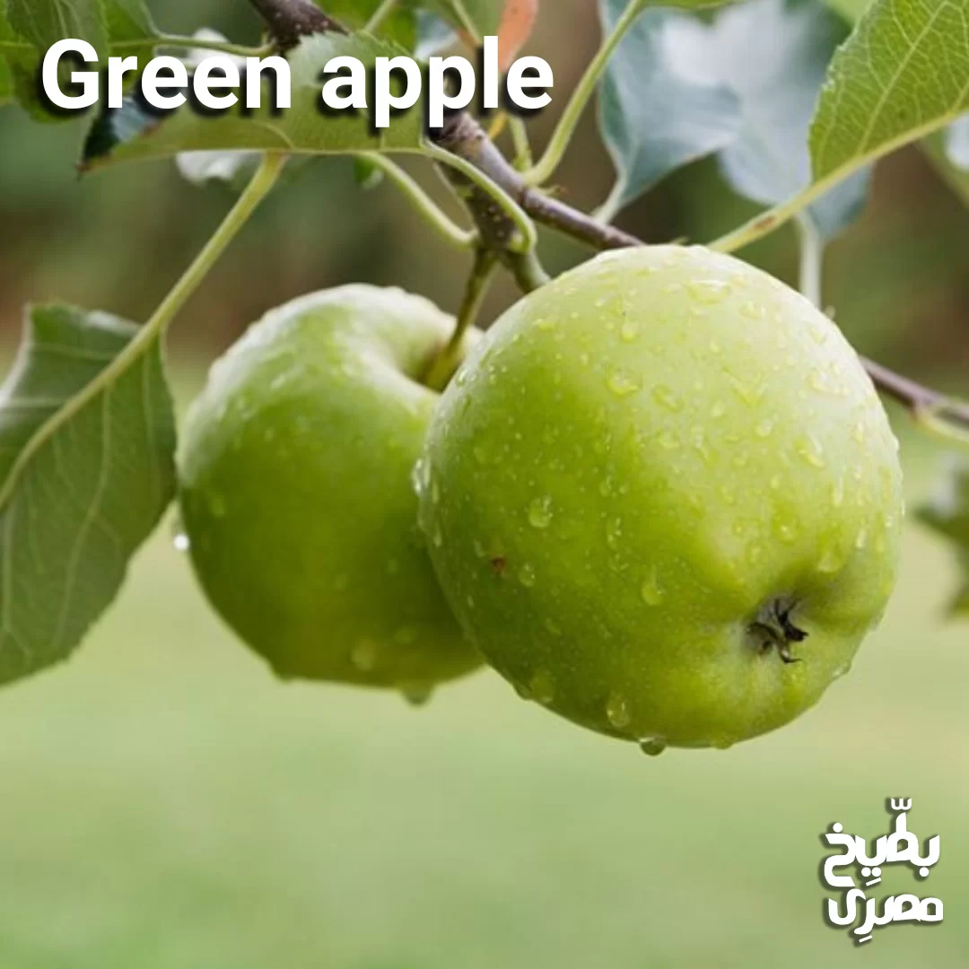 تفاح أخضر مستورد