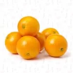 برتقال-البلدي