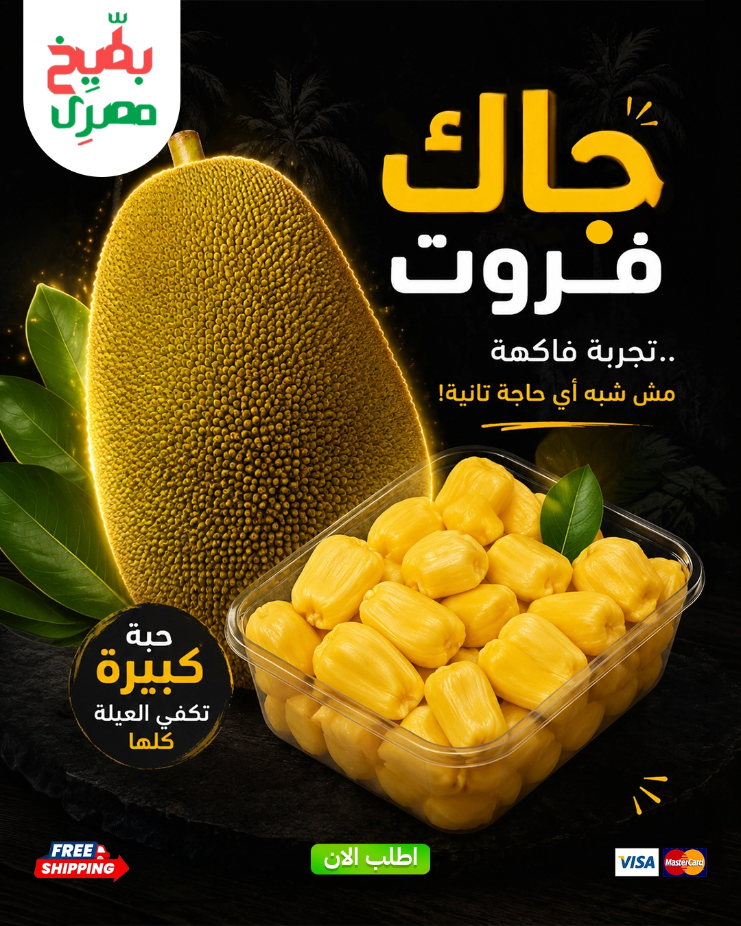 الرئيسية