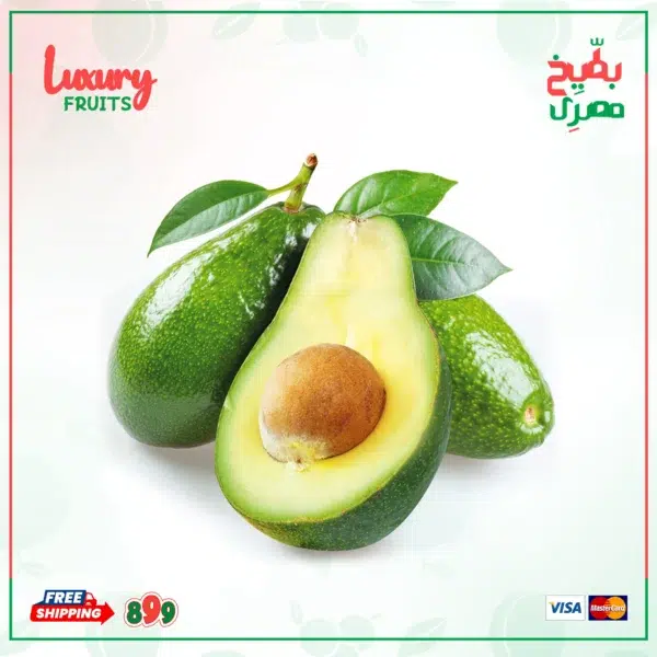افوكادو مستورد - كيلو