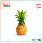 أناناس بيبي مستورد - حبه