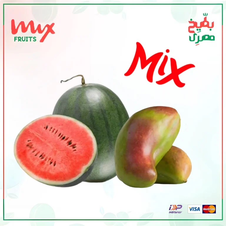 الرئيسية