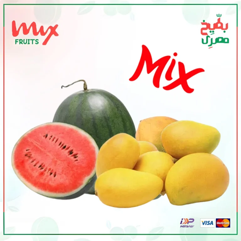 الرئيسية