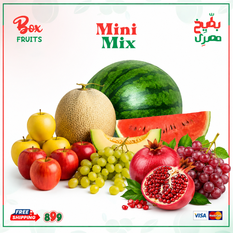 الرئيسية