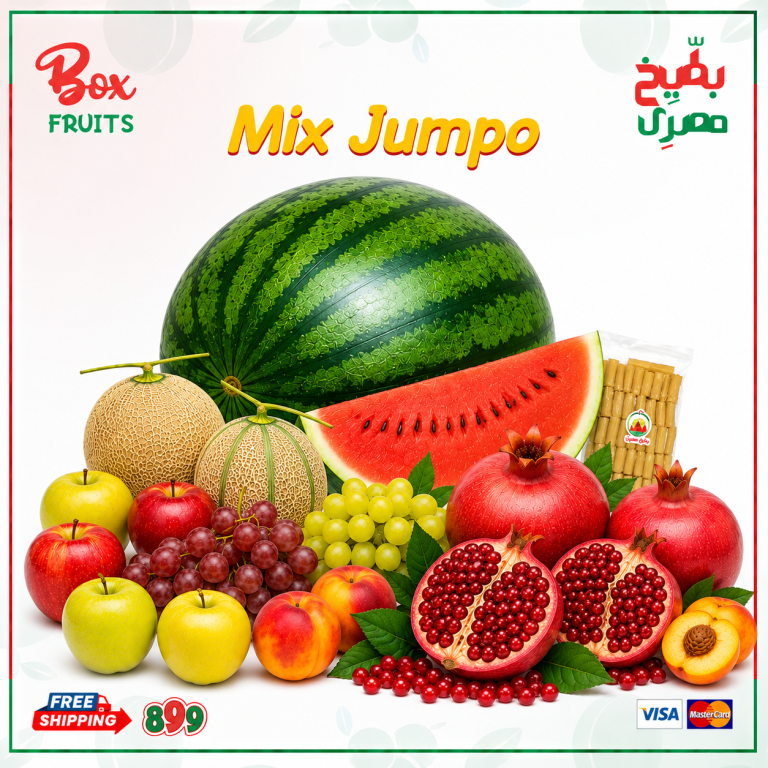 الرئيسية
