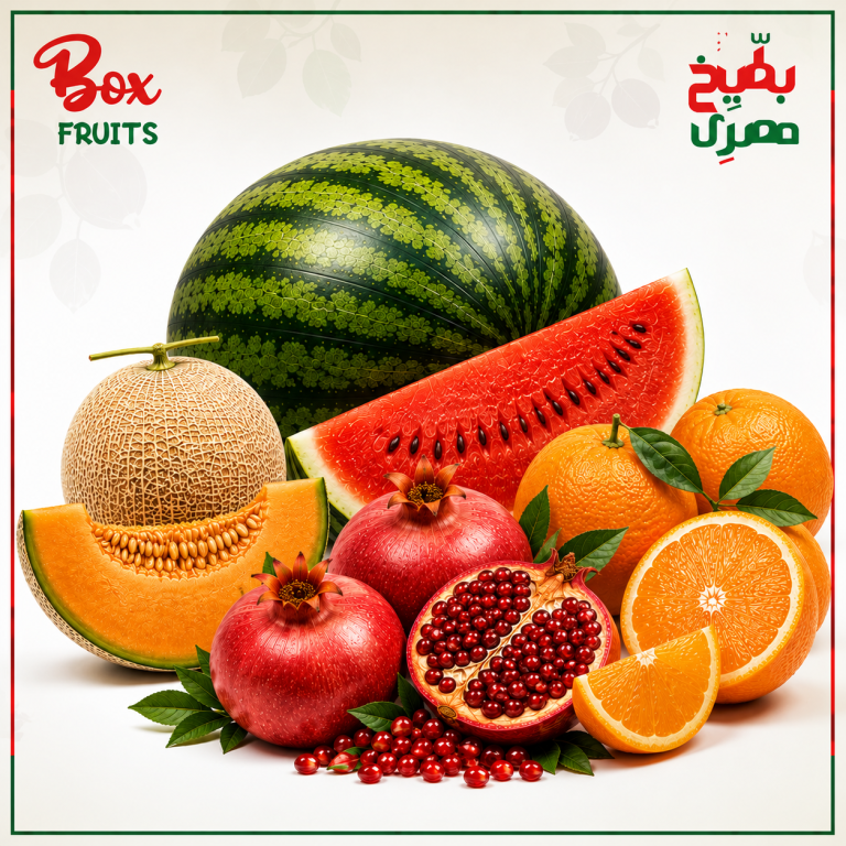 الرئيسية