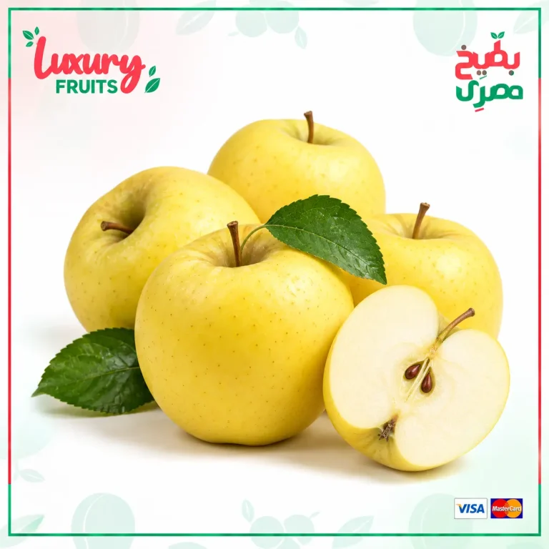 الرئيسية