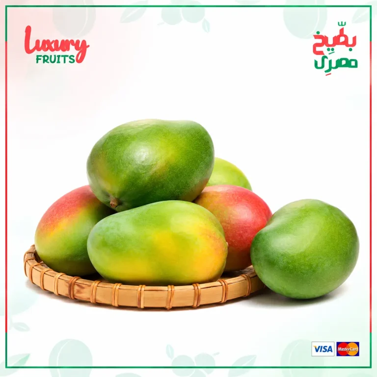 الرئيسية