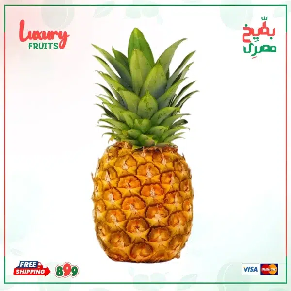 أناناس جامبو مستورد