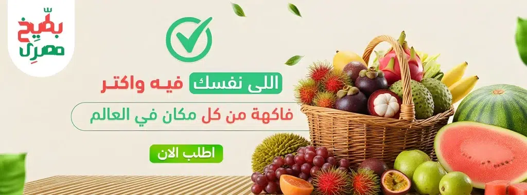 الرئيسية