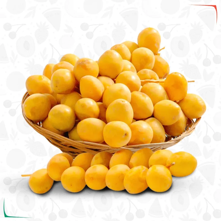 الرئيسية