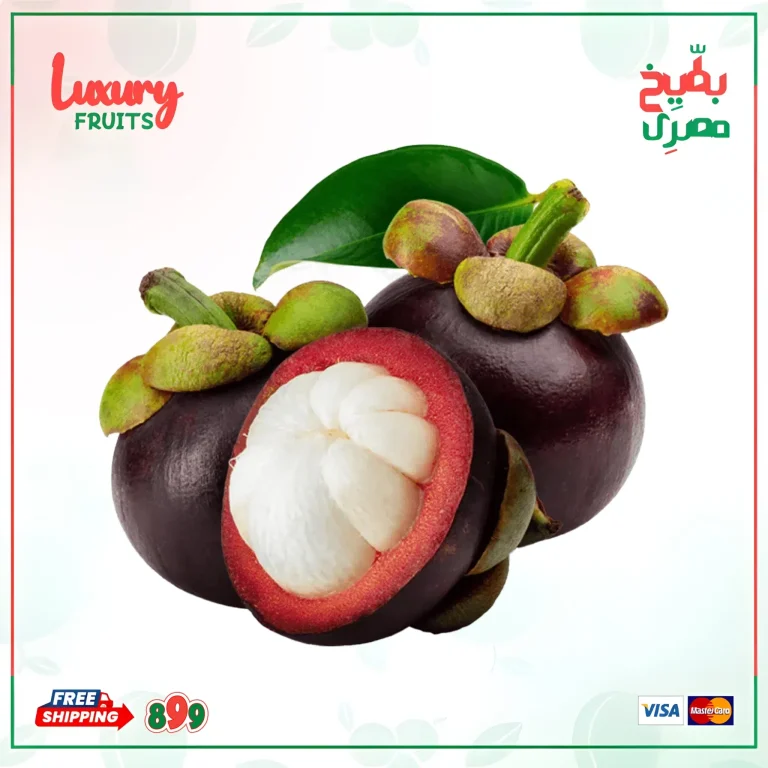 المانجوستين الأستوائية