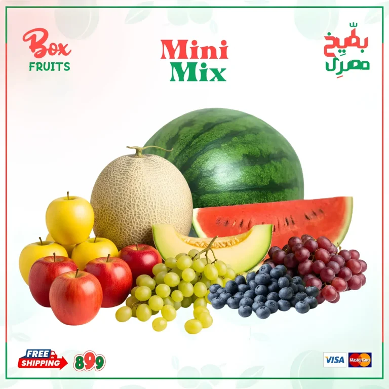 الرئيسية