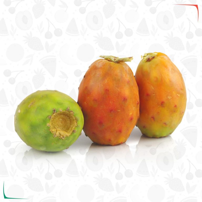 الرئيسية