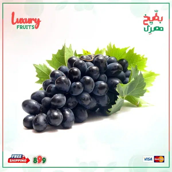 عنب اسود مستورد