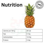 ⁦أناناس جامبو مستورد⁩ - الصورة ⁦2⁩