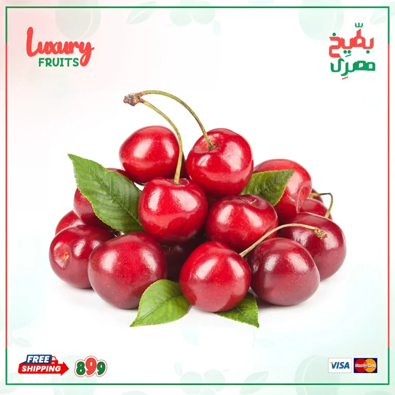 الرئيسية