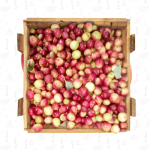 نبق احمر هندي - كيلو