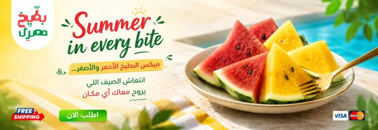 الرئيسية