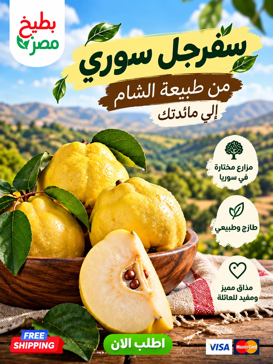 الرئيسية